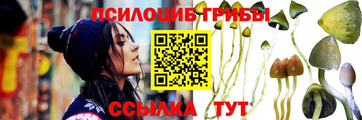 Псилоцибиновые грибы прущие грибы  Вход с VPN  Унеча 